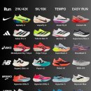 PS2ZONE | [임신노력] 유산소 zone2 러닝 (운동화추천)