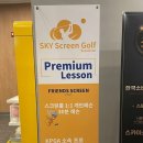 스카이스크린골프 이미지