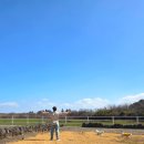 팜팜스테이 이미지