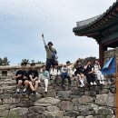 푸르른 태권도장 이미지