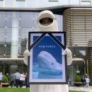 제주벨루가 이미지