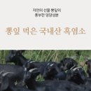 형님전통식품 | 여름마다 기력이 뚝 떨어져, 흑염소 진액 4개월 마셔본 경험담(이경제 흑염소 진액 진 후기)