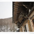 백운산 신촌 네이버블로그