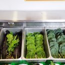 천연애성서점 이미지