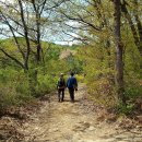 초막골생태공원 이미지