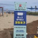 아라나비 강릉점