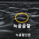 소문난내과의원 이미지