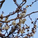 다숲민박 이미지