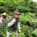 민재농장 이미지