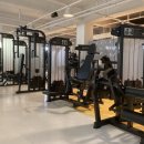 바이킹짐 이미지