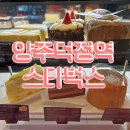 스타벅스 양주덕정역DT점 | 덕정역 카페, 드라이브스루 가능한 양주스타벅스