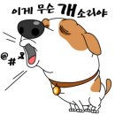 율무네애견 이미지