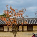 금촌전통시장 이미지