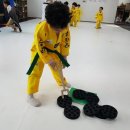 석사 경희대 승리 태권도장 이미지