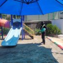 화양초교병설유치원 이미지