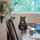 (주)행복둥지를만드는사람들 | 사라진 아보카도는 어디로 갔을까. 둥지 7월 일기