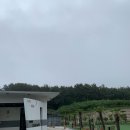 드레피인 이미지