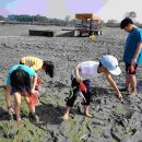 효포초등학교 이미지