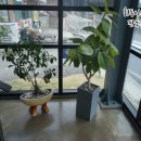 고메303 이미지