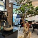 기장2주공남자경로당 | 네이처헤어 커트 주현쌤 중계역 상계동미용실