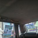 실종된 강아지를 찾습니다 이미지