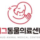 야옹동물병원 네이버블로그
