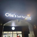 올리스24(세종점) 이미지