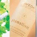 자연으로 이미지