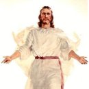 신 카카오 검색결과