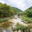 선유담계곡 Daum카페