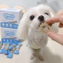 노블덴탈 이미지