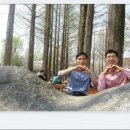 심어진차