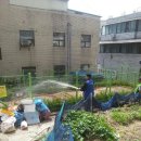 코스모스약국 이미지