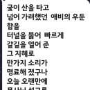 이맛에 효도하나 봅니다 이미지