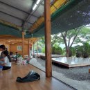 돌티미식당 이미지