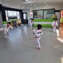 정진태권도 이미지