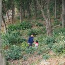 가래골농원 캠핑장2 이미지