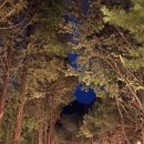 스테이사계 이미지