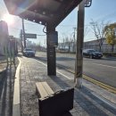 표가네안경, 보청기 이미지