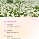 무인카페데이지 이미지