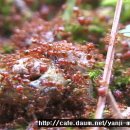 모텔식민박 이미지