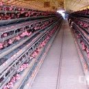 나주농장 이미지