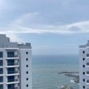 르컬렉티브 부산롯데월드 이미지