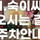 숙이씨 이미지