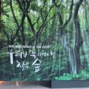 칠곡한국통신 옆 이미지