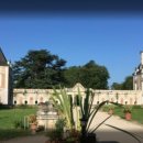 블루아라(I) 이미지