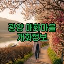 상대마을(향기마을) | 광양 매화마을 실시간 개화와 축제 가이드