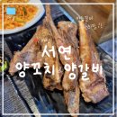 서연 | [성남/야탑] 퀄리티 좋은 양등갈비 무한리필 "서연양꼬치 양갈비" 내돈내산 추천 후기
