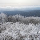 명산100 2025.01.07(화요일) 강원/평창 계방산(명산100인증) 산행안내 이미지