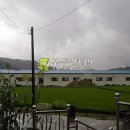 구룡리농장 이미지